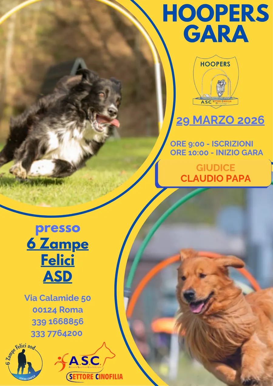 Gara Hoopers 29032026