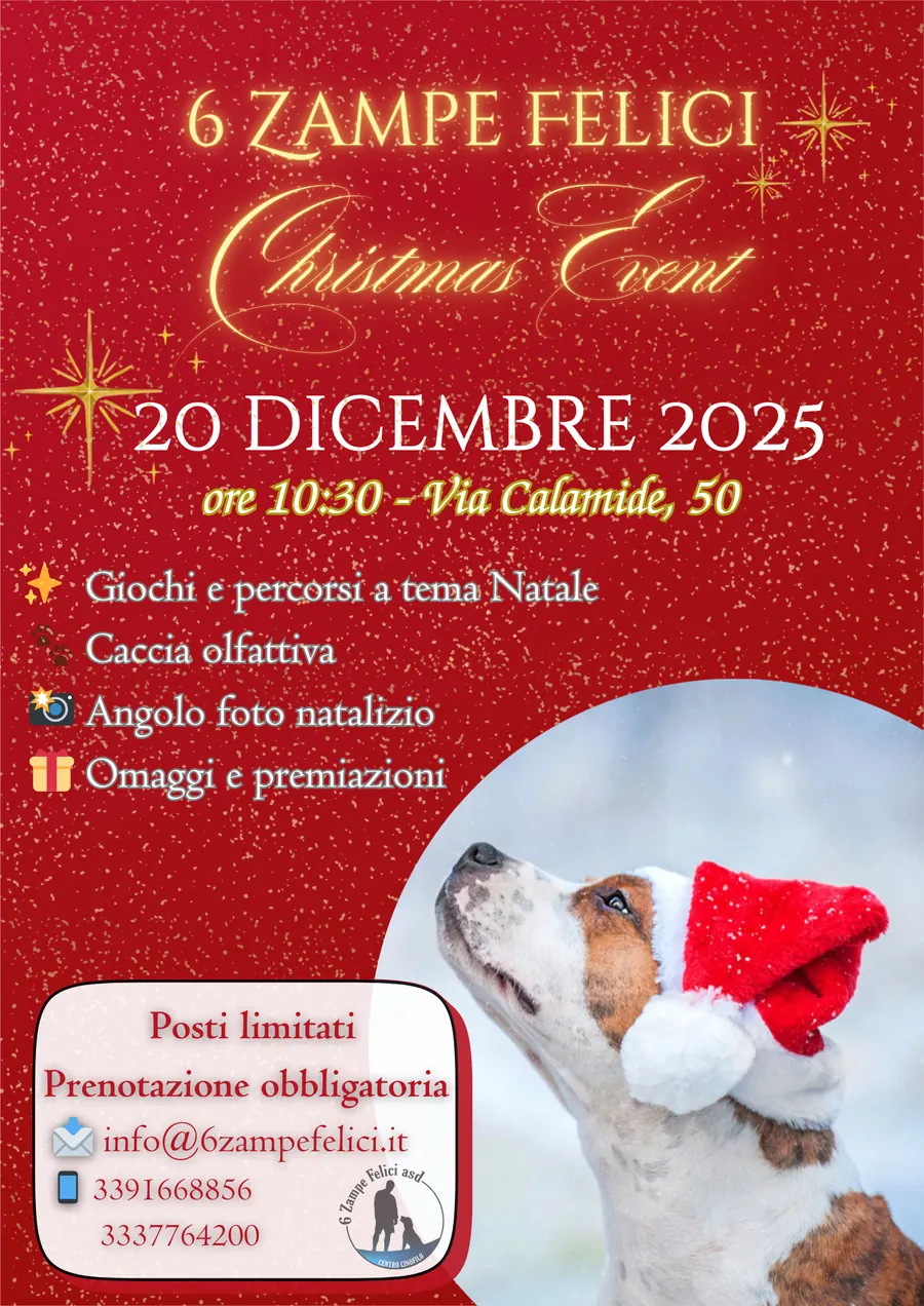 Locandina Christmas party 2025